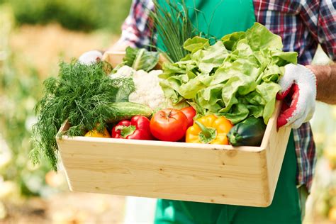 Liste de course healthy Notre liste gratuite à consulter