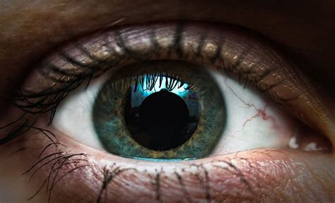 Dilated Pupils Causes Symptoms And Treatment