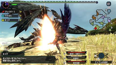 4.3 out of 5 stars 21. Monster Hunter XX For Nintendo Switch Gets New Screenshots ...