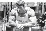 Photos of Rules Of Bodybuilding Training