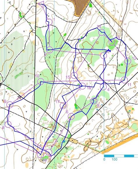 Savernake Forest North Wilts Quantock Orienteers