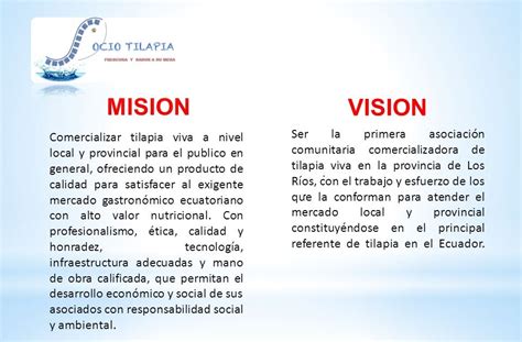 Mision Vision Y Objetivos De Una Empresa Ejemplos Escuela