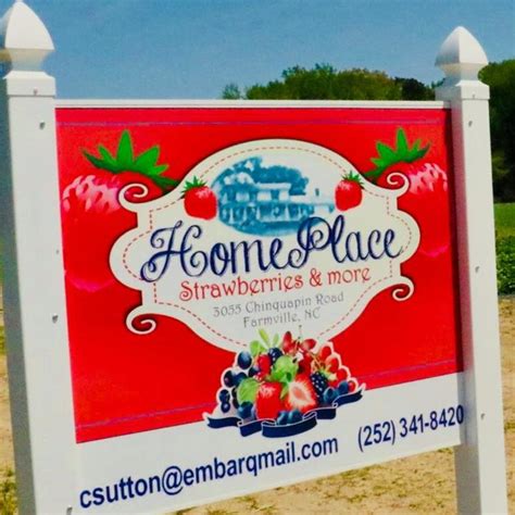 Your ripened strawberries stock images are ready. Home Place Strawberries