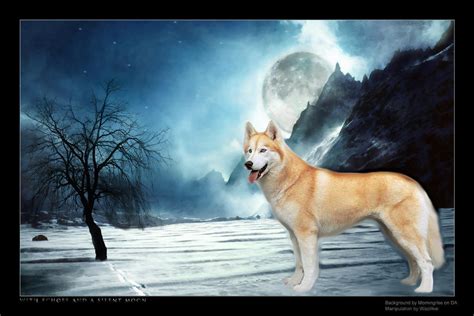 Wolf Under The Moon By Wazilikie On Deviantart