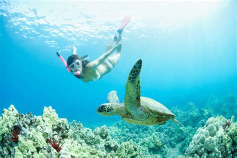 The 7 Best Snorkeling Tours In Kauai Of 2020