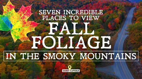 7 Incredible Places To View Fall Foliage In The Smoky Mountains Fall