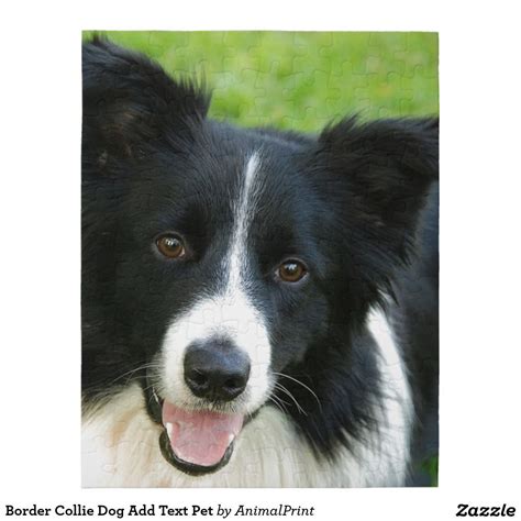 Border Collie Dog Add Text Pet Jigsaw Puzzle Pet Mice