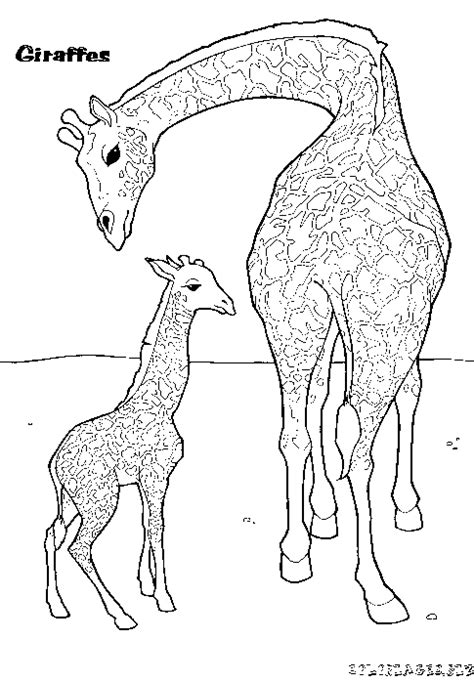 Coloriage Girafes Gratuit 1457 Animaux