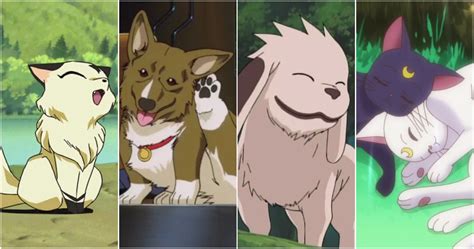 10 Most Iconic Pets In Anime History Ranked