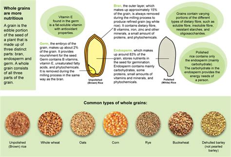 A diabetes educator or dietitian can help with developing a healthful eating plan. Whole Grains Are Wholesome! - Positive Parenting