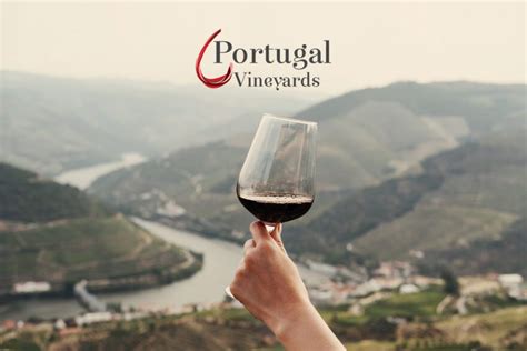 portugal vineyards asia wine news