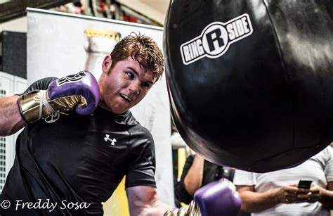 Want a highlight video for a good price? Saul "Canelo" Alvarez training gallery - FightHubTV
