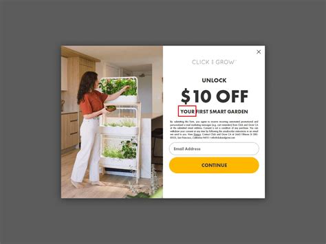 9 Discount Promotion Popups You Can Steal Plus Best Practices