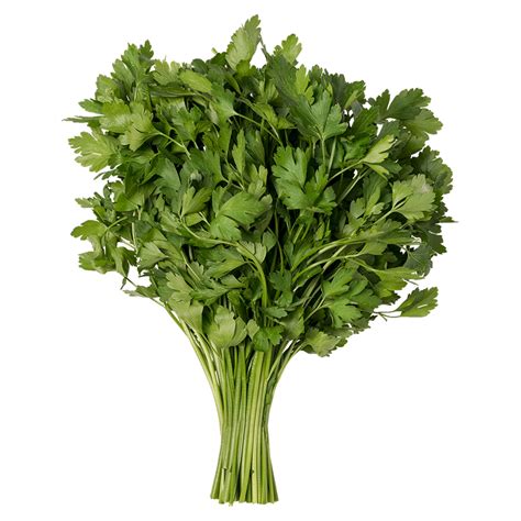 Parsley Usa Bubba Fresh
