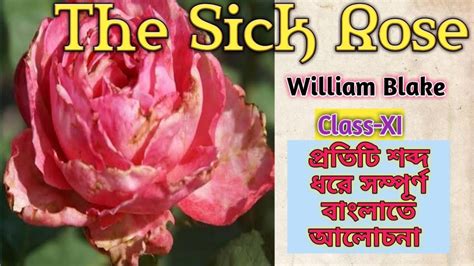 The Sick Rose By William Blake In Bengali For Class Xi Youtube
