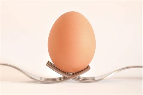 Comment savoir si un œuf est bon Informations Pratiques