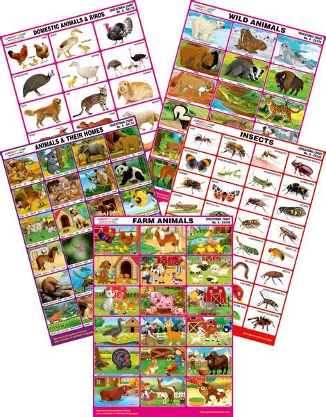 Spectrum Mirror Coat Educational Charts Set Of 5 Set 156 Farm