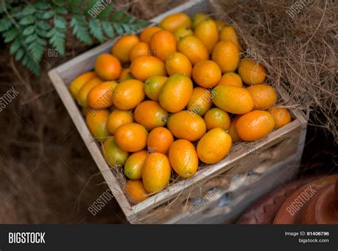 Small Orange Image And Photo Free Trial Bigstock