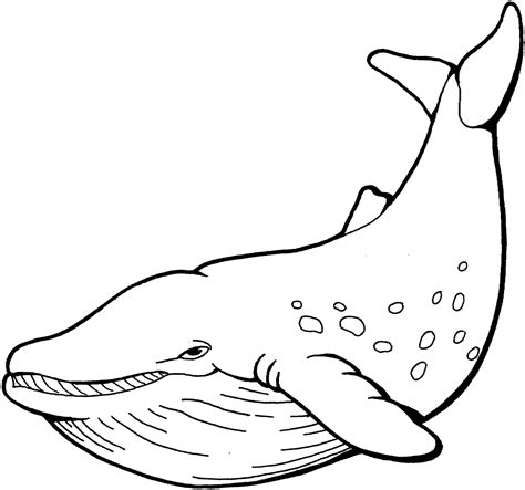 Whale Coloring Pages