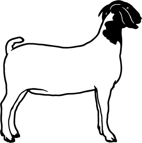 Boer Goat Clipart Clip Art Library