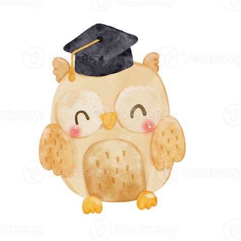 Graduation Owl Watercolor 26472044 Png