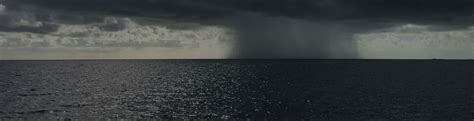 Check spelling or type a new query. What is the difference between rain and showers? - Met Office