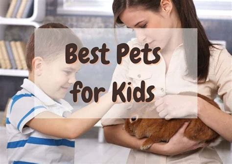 21 Best Pets For Kids By Age Range The Pet Savvy