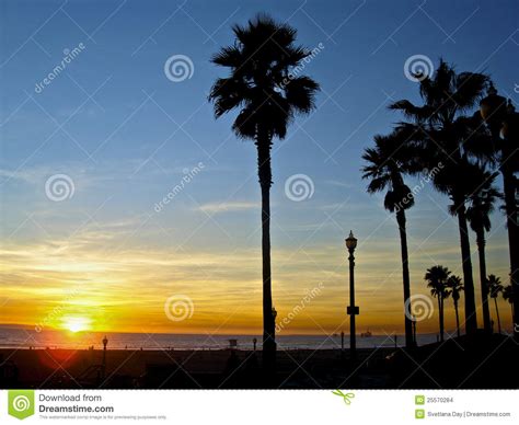 Palm Trees In Colorful Sunset Stock Images Image 25570284