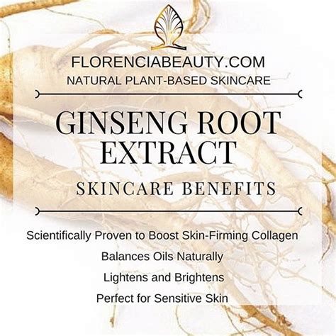 Ginseng Root Extract Is From The Root Of The Ginseng Plant Has Many