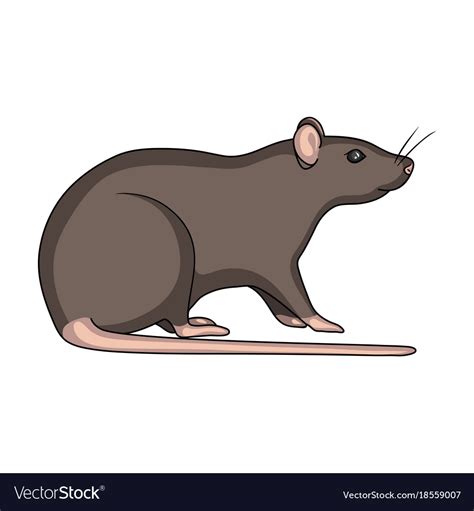 Rodent Rat Single Icon In Cartoon Style For Design