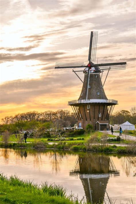 windmills  amsterdam worth  visit  beautiful pictures