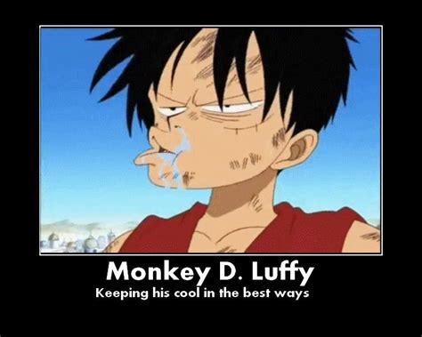 One Piece Funny Pictures Anime Amino