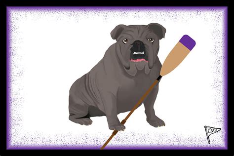 Crew Gray Bulldog Purple Digital Art By College Mascot Designs Fine