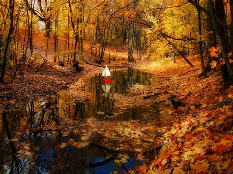 Autumn Beautiful Beauty Boat Colors Fall Forest Golden Leaves Lovely