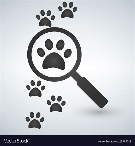 Magnifying Glass Over Footprints Royalty Free Vector Image