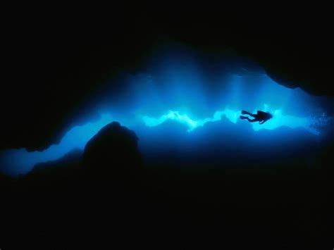 Hd Wallpaper Underwater Photography Of Person Diver Sea Bubbles Blue Marin Wallpaper Flare