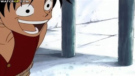 One Piece Luffy Amazed From Himself