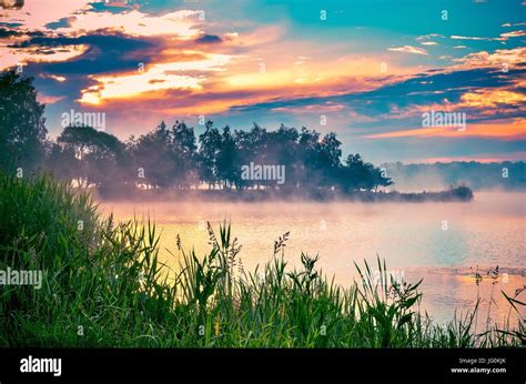 Morning Landscape On The Lake Beautiful Sky And Green Plants By The