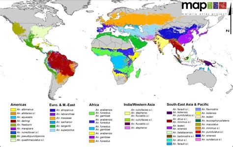Global Distribution Of The Dominant Vector Species Of Malaria Intechopen
