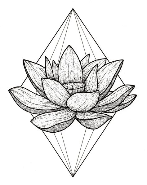 Lotus Flower Outline Drawings For Tattoos