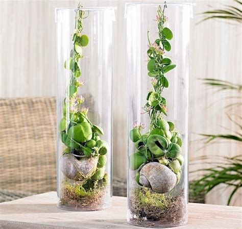 Un'ampia gamma di piante con fiori e accessori si trovano nello shop online o presso il tuo negozio obi! Piante da appartamento con fiori - piante appartamento ...