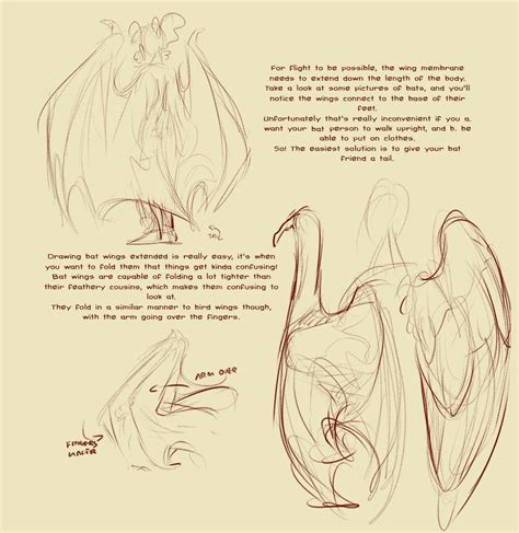 Bats, the only mammals capable of true flight, have wings formed of a flight membrane stretched over slender, elongated arm and hand bones. Bat Wings Drawing at GetDrawings | Free download