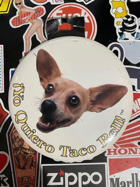 Yo Quiero Taco Bell Dog Display Etsy