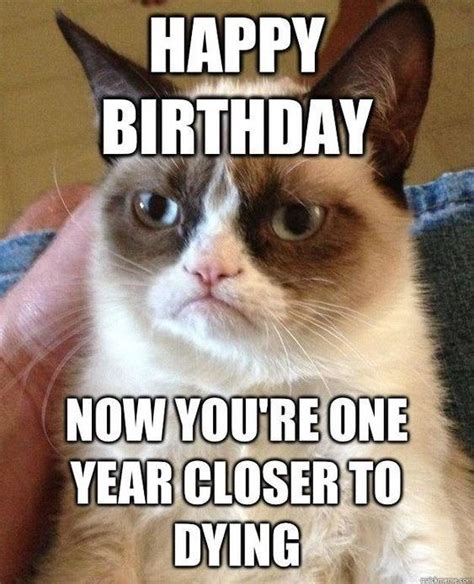 Have Grumpy Birthday Death Is 1 Year Closer Grumpy Cat Know Your Meme