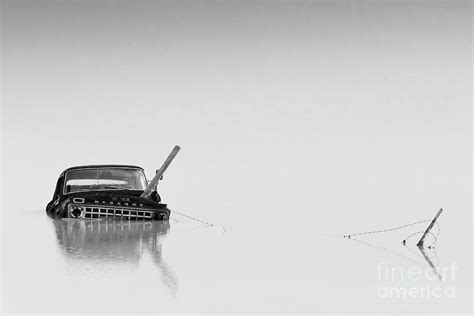 Mercury In The Water Photograph By Scott Dimond Fine Art America