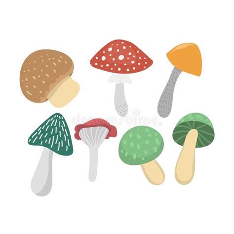Mushrooms Vector Illustration Set Stock Vector Illustration Of