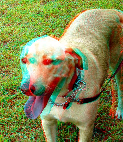 3d 07 27 08 0056ab Its Hot Let Me In View With 3d Redcy Flickr