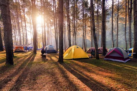 Camping How To Gear Up For A Summer Outdoors Ecowatch