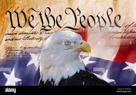 Constitution Of America We The People With Bald Eagle And