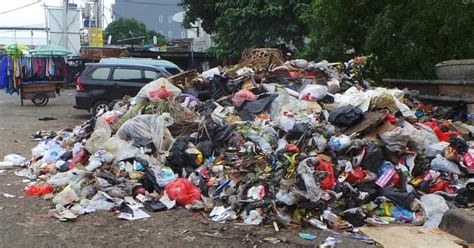 10 contoh sampah organik di sekitar kita. Contoh Sampah Organik dan Anorganik Beserta Penjelasannya ...